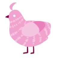 A pink chicken with a bar pattern