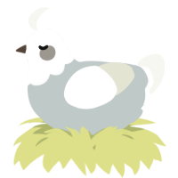 A silver and white chicken with a head pattern