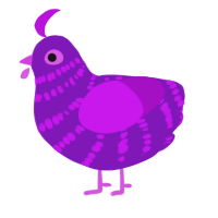 A violet and amethyst chicken with a bar pattern