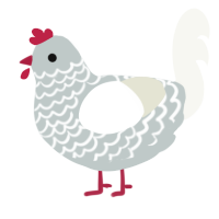 A silver and white chicken with a lace pattern