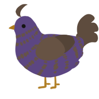 A overcast and bark chicken with a bar pattern