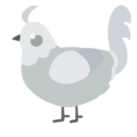 A silver and mist chicken with a head pattern