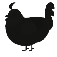 A black chicken with a head pattern