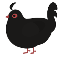 A sable chicken