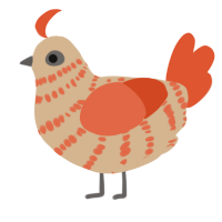 A beige and vermilion chicken with a bar pattern