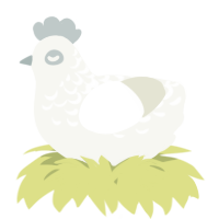 A white chicken with a half-lace pattern
