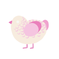 Rosie, a cream and pink chicken with a half-lace pattern