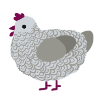 quicksilver, a mist and ash chicken with a double-lace pattern