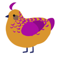 A orange and plum chicken with a half-lace pattern