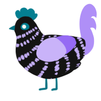 A black and lilac chicken with a bar pattern