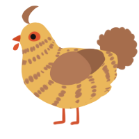 A honey and brown chicken with a bar pattern