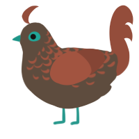 A bark and russet chicken with a half-lace pattern
