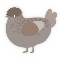 A lemon and spring chicken with a half-lace pattern