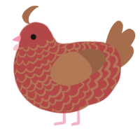 A red and brown chicken with a lace pattern