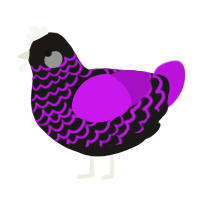 A sable and amethyst chicken with a lace pattern