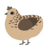 A beige and bark chicken with a half-lace pattern
