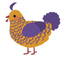 A orange and overcast chicken with a lace pattern