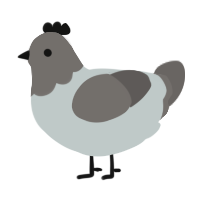 A silver and grey chicken with a head pattern