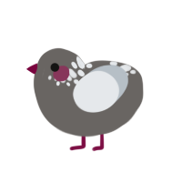 minidemon, a grey and mist chicken with a neck-speckle pattern