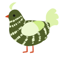 A olive and apple chicken with a bar pattern