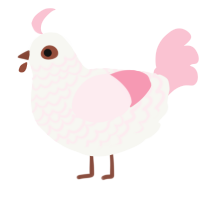 A white and rose chicken with a lace pattern