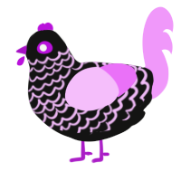 Quoth the Raven, a black and lavender chicken with a lace pattern