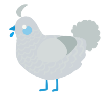 A mist and silver chicken with a lace pattern