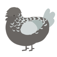 A grey and silver chicken with a half-lace pattern