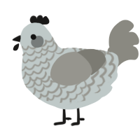 A silver and ash chicken with a lace pattern