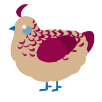 A beige and maroon chicken with a half-lace pattern