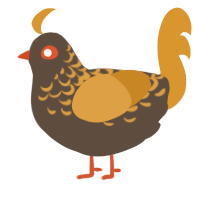 A bark and orange chicken with a half-lace pattern