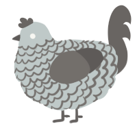 A silver and grey chicken with a lace pattern