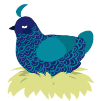 A navy and sea chicken with a double-lace pattern