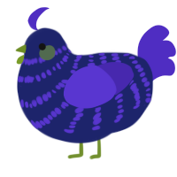 A navy and indigo chicken with a bar pattern