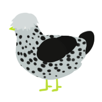 A silver and black chicken with a speckle pattern