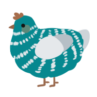A teal and mist chicken with a bar pattern