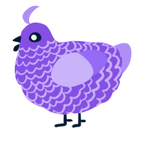 A blurple and lilac chicken with a lace pattern