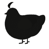 A black chicken with a lace pattern