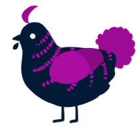 A tumblr and plum chicken with a half-bar pattern