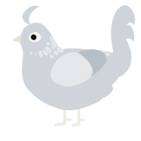 A mist chicken with a neck-speckle pattern