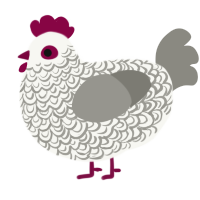A white and ash chicken with a double-lace pattern