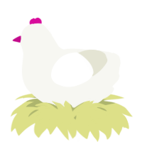 A white chicken