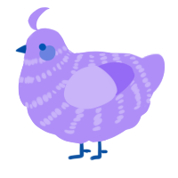 Lexi, a lilac chicken with a bar pattern