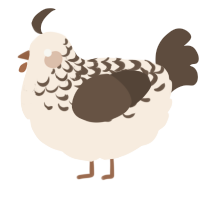 A cream and bark chicken with a half-lace pattern