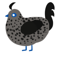 A grey and black chicken with a speckle pattern