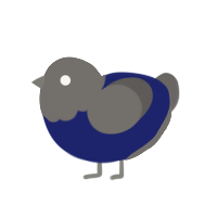 Cobalt, a navy and grey chicken with a head pattern