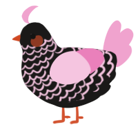 A sable and pink chicken with a lace pattern
