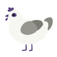 A white and ash chicken