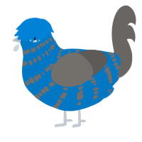 (unnamed), a sapphire and grey chicken with a bar pattern