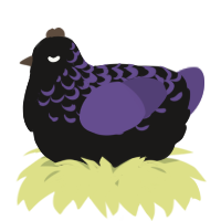 A sable and overcast chicken with a half-lace pattern